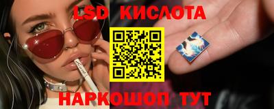 винт Ефремов